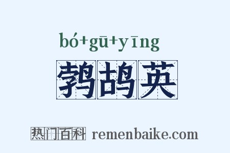 鹁鸪英是什么意思的图片